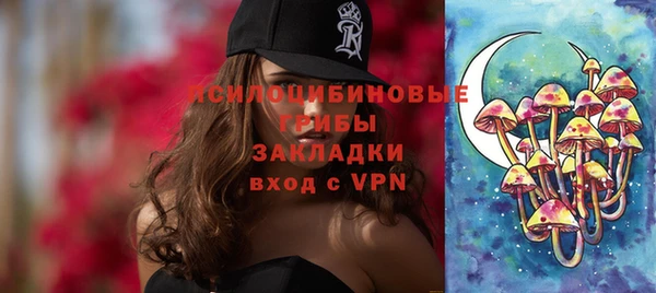 стаф Абаза
