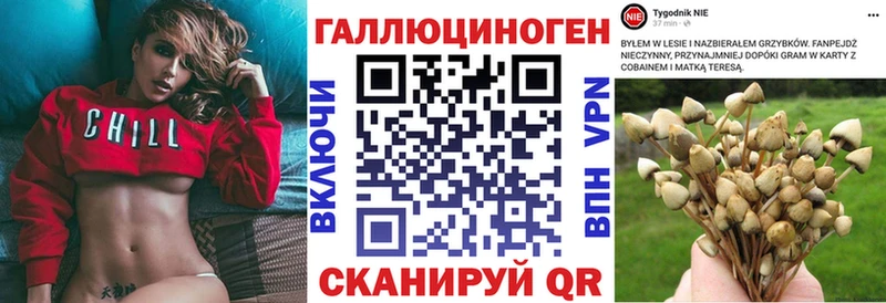 MEGA ССЫЛКА  Струнино  Галлюциногенные грибы Psilocybine cubensis 